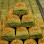 Baklavaci Semsettin Üretim Tesisi logosu