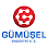 Gümüşel Endüstri A.Ş. (GEBZE) logosu