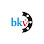 BKV VANA HİDROLİK KONTROL VANALARI logosu