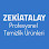 Zeki Atalay logosu