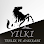 YILKI TERLİK ve AYAKKABI logosu