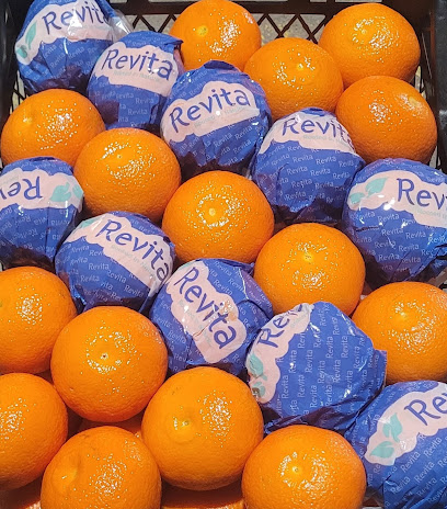 Revita Gıda Ltd. Şti. kapak görseli