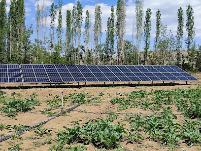 AGM ENERJİ kapak görseli
