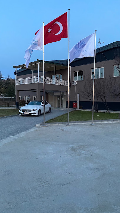 Alp Tedarik Dağıtım İç ve Dış Ticaret A.Ş. kapak görseli
