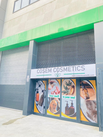 COSEM KOZMETİK kapak görseli