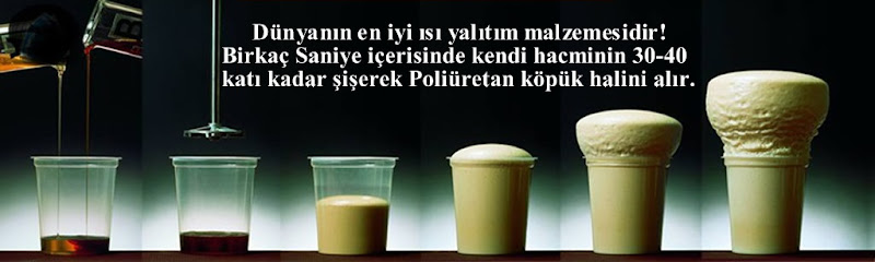 isozen Grup Yalıtım A.Ş. kapak görseli