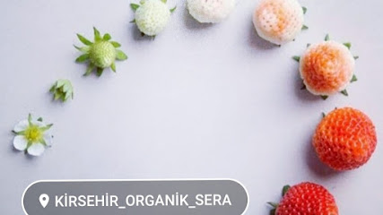 Pehlivan organik tarım tesisleri kapak görseli