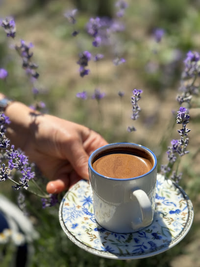 Gökkuşağı lavanta çilek bahçesi kapak görseli
