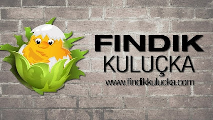 Fındıkkuluçka Makinaları ve Ekipmanları kapak görseli
