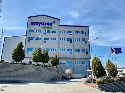 Mayasan A.S. kapak görseli
