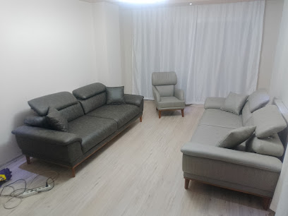 Haz home desigin fabrika Spor kanepe kapak görseli