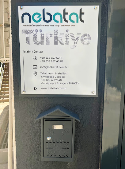 NEBATAT GIDA TURİZM ÖZEL EĞİTİM İNŞAAT İTHALAT İHRACAT SANAYİ VE TİCARET ANONİM ŞİRKETİ kapak görseli