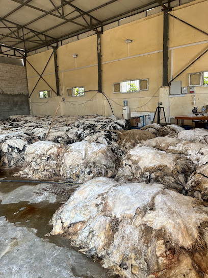 ARKAR DERİ kapak görseli