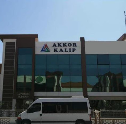 AKKOR MAKİNA KALIP OTOMOTİV ve SAC İŞLEME SAN. TİC. kapak görseli
