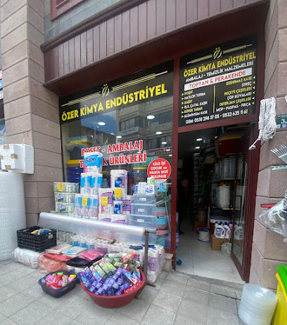 Özer KİMYA ENDÜSTRİYEL kapak görseli