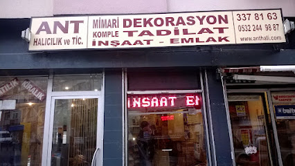 Ant Dekorasyon kapak görseli