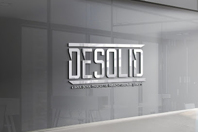 DESOLID BOYA kapak görseli