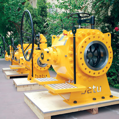 Batu Valve kapak görseli