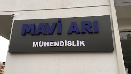 Mavi Arı Mühendislik kapak görseli