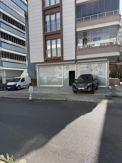 ÇELİKLER ANALİTİK kapak görseli