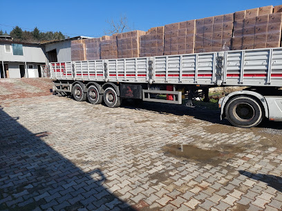 Beykoz Selüloz Kâğıt Ltd Şti kapak görseli
