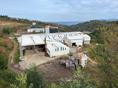 Trabzon Plywood Kontrplak kapak görseli