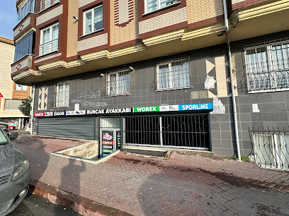 Burçak Ayakkabı kapak görseli