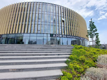 ANATOLYA kapak görseli