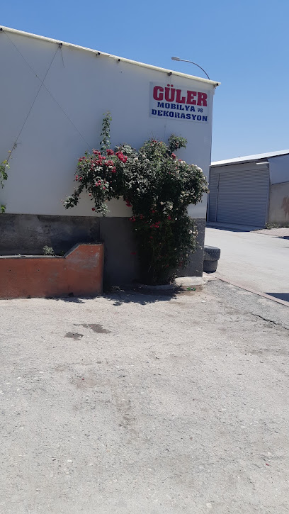 Güler Mobilya Dekorasyon kapak görseli