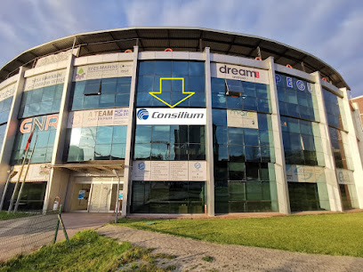 Integmar Marine Technologies Inc Authorized service provider of Consilium Safety kapak görseli