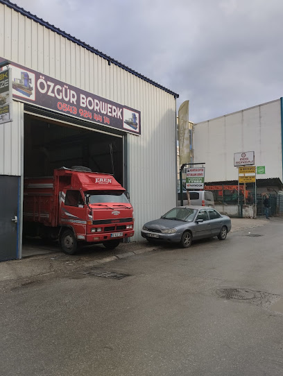 Özgür Borwerk kapak görseli