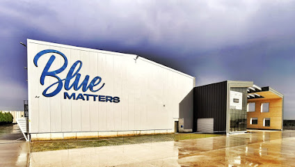 Blue matters - Ereks kapak görseli