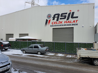 Asil Çelik Halat kapak görseli