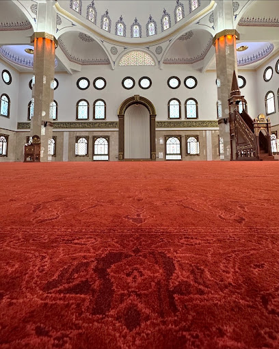 Ertürk Cami Halıları kapak görseli