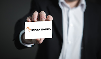 kaplan mobilya kapak görseli