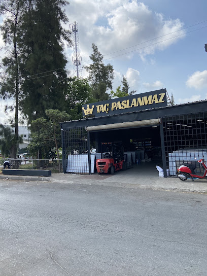 TAÇ PASLANMAZ kapak görseli