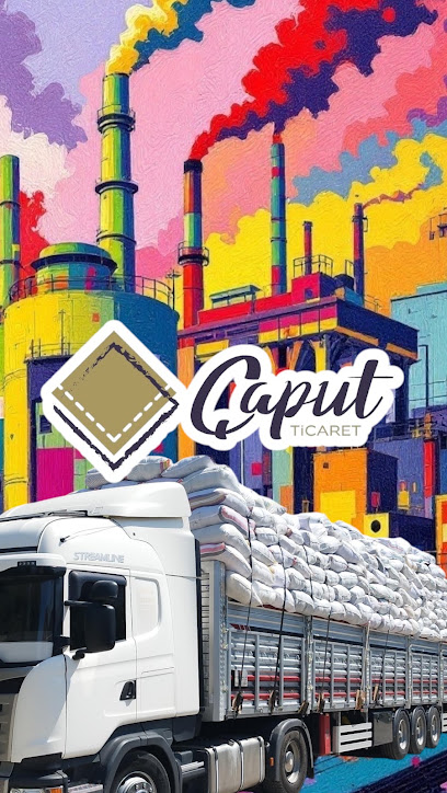 Caput Ticaret kapak görseli