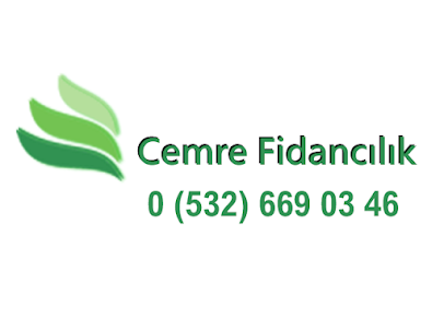 Cemre Fidancılık ve Çiçekçilik kapak görseli