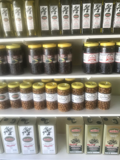 Geyikli Zeytincilik kapak görseli