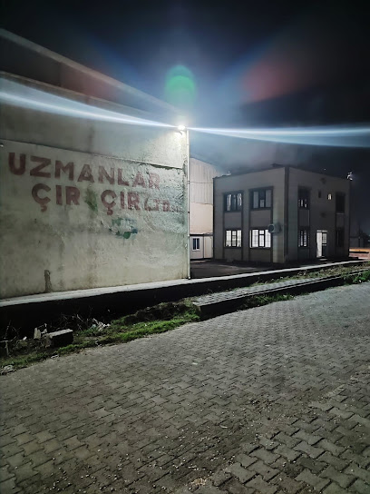 Uzmanlar Çırçır kapak görseli