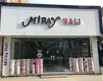 Miray Hali kapak görseli