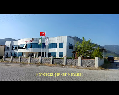 ÖZÇAKIRLAR BAL Tedarik & Lojistik kapak görseli