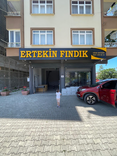 ERTEKİN FINDIK ALIM SATIM kapak görseli