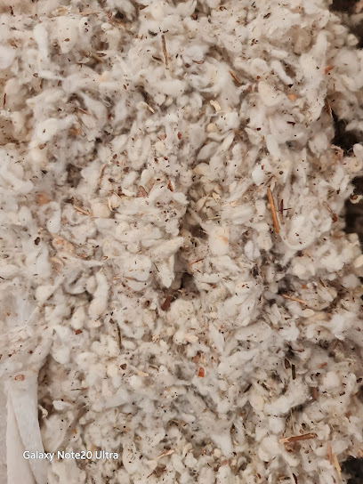 Tanrıöver Mensucat San ve Tic Ltd Şti kapak görseli