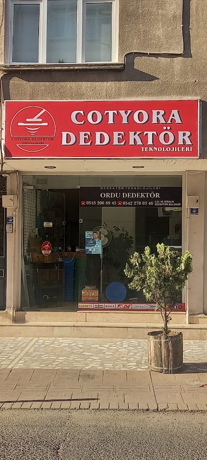 Coryora Dedektör kapak görseli