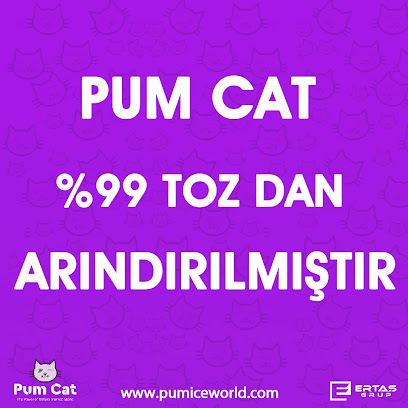 Pumice World kapak görseli