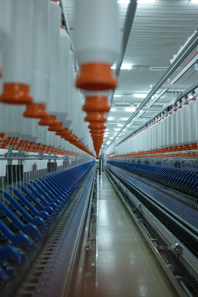 Piramit Sentetik İplik Sanayi ve Ticaret Anonim Şirketi kapak görseli