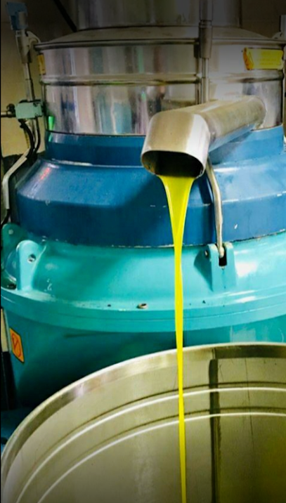 Bayırlar Kontini Zeytinyağı Fabrikasi kapak görseli