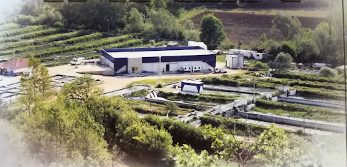 Liman Entegre Balıkçılık San. Tic. Ltd. Şti. kapak görseli