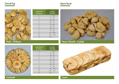 Akok Foreign Trade kapak görseli